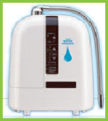 Water ionizer